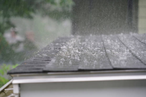 Best Storm Damage Roof Repair  in Park Layne, OH